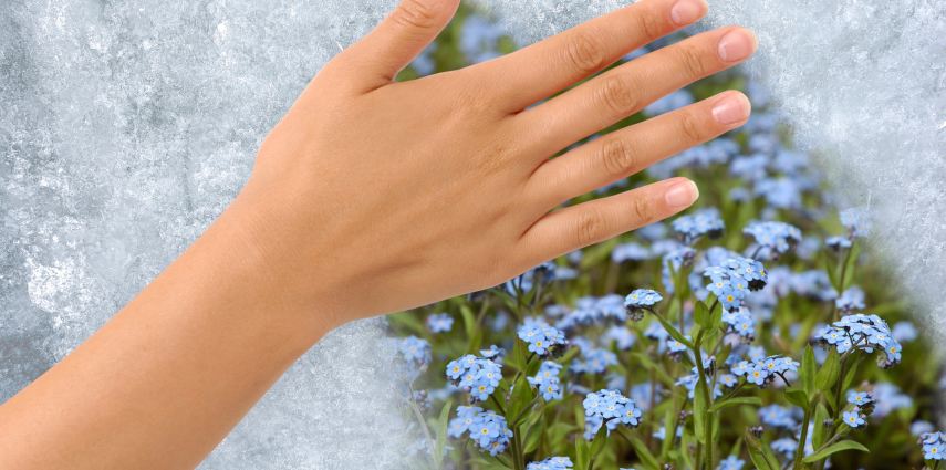 Hand removing Ice from a frozen window revealing field of flowers behind. Clipping path around the hand included.